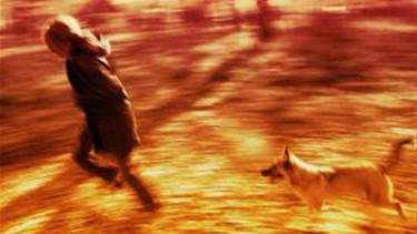 Opis: http://listverse.wpengine.netdna-cdn.com/wp-content/uploads/2012/10/how-to-understand-being-chased-in-a-drea.WidePlayer.jpg