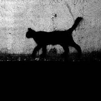 Opis: http://t3.gstatic.com/images?q=tbn:ANd9GcQKplMJ7CIaAuqcqxClSAUQkFQzO09D9Ew2UnPohyvr0fDQ1eoG